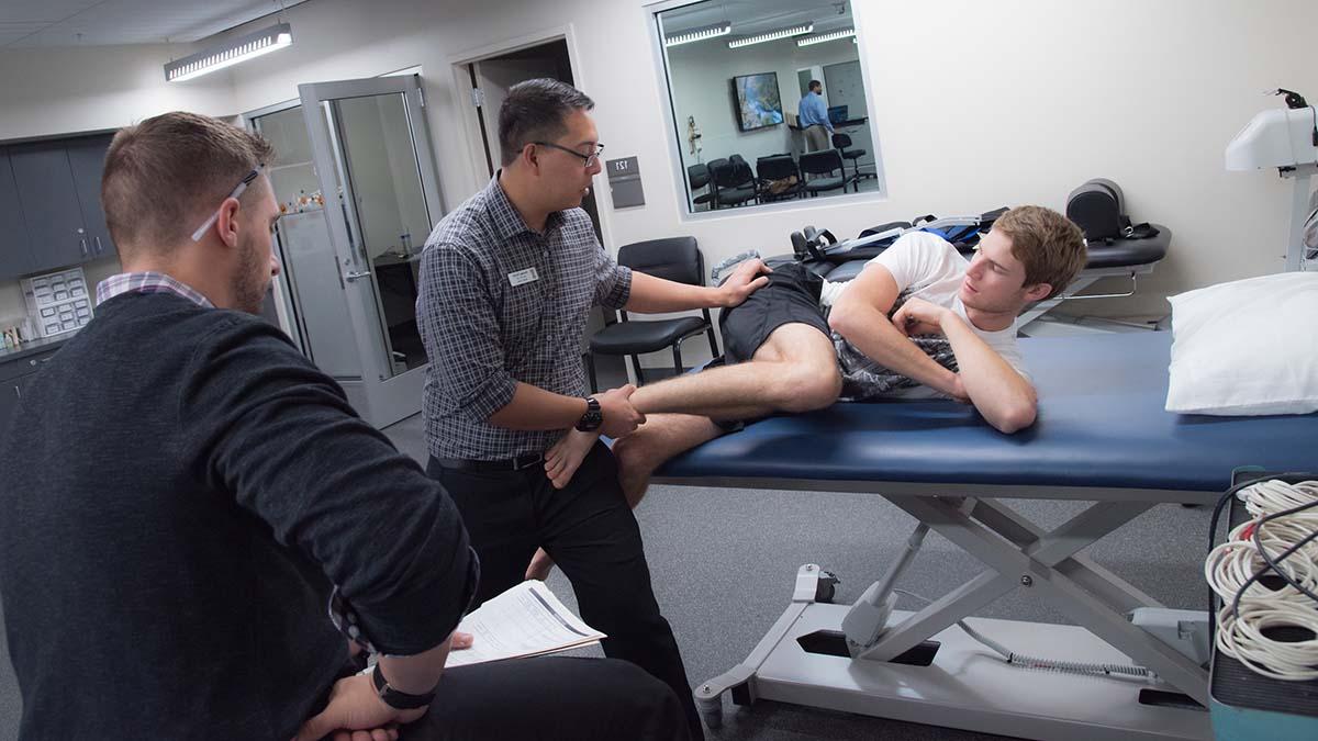 A professor supervises a student in the athletic training clinic.
